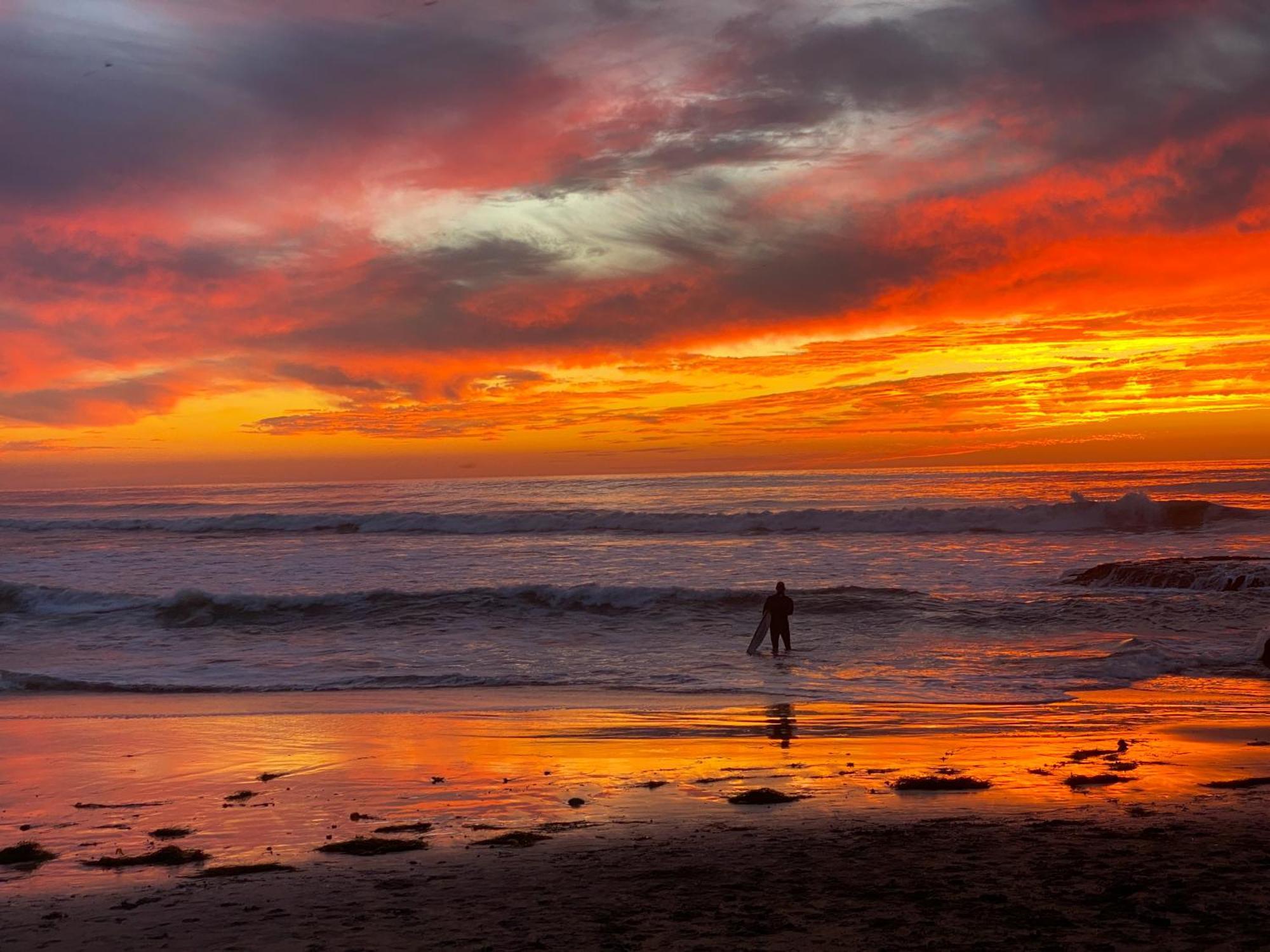 Modern Newly Renovated 2br In Heart Of Ocean Apartamento San Diego